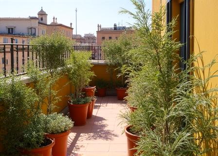 Terrazza moderna a Trastevere con piante mediterranee
